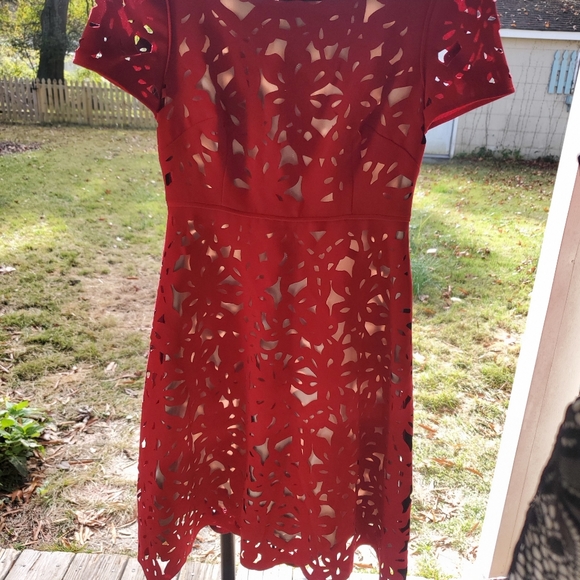 Womens Clothing - Picture 6 of 16